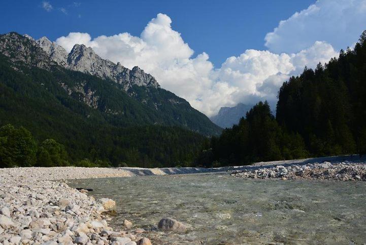 Rooms Barovc By The Lake Jasna Kranjska Gora Extérieur photo The river in the park